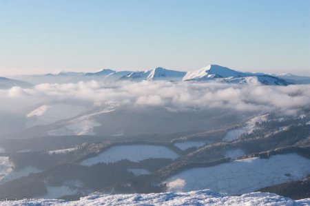 Лысые Карпаты: путешественники шокировали масштабами катастрофы (ФОТО)