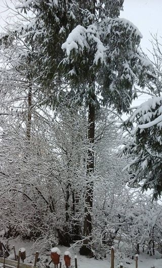 /data/blog/102567/4d93609e969dce07e5ea47183bc6ba5e.jpg