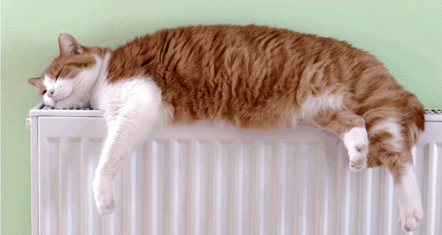 /data/blog/103441/4fcf262c44db2031b2e288e008d2ca73.gif