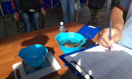 Відбувся фестиваль-змагання зі спортивної риболовлі “Toirtap Open Cup”