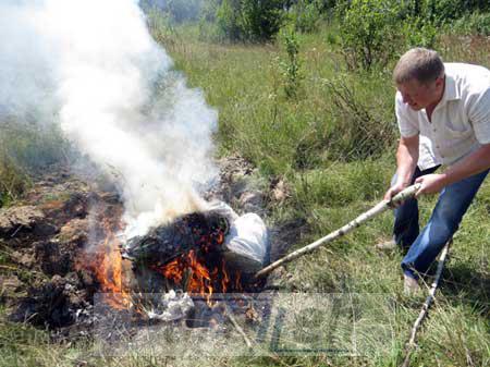 Прикарпатські правоохоронці знищили 30 кг наркотиків