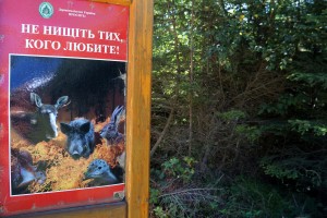 Лісова агітація