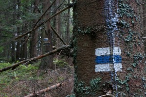 Маркування карпатських стежок