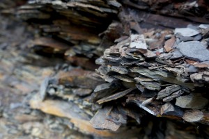 Фліш &ndash; осадова порода, долина Мшаної