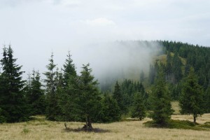 Негура &ndash; карпатський туман