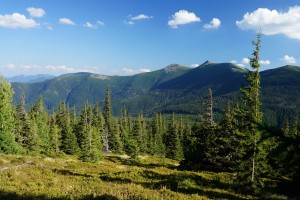 Масив Сивулі