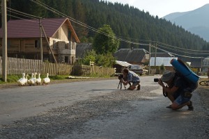Фотографи за роботою, гуси позують
