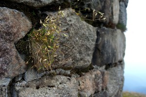 Обсерваторні камені