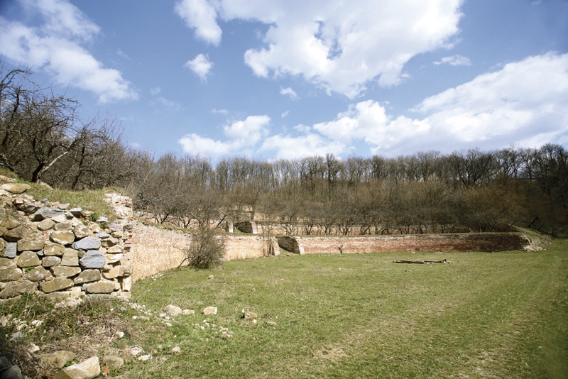 o_162o_IMG_7499