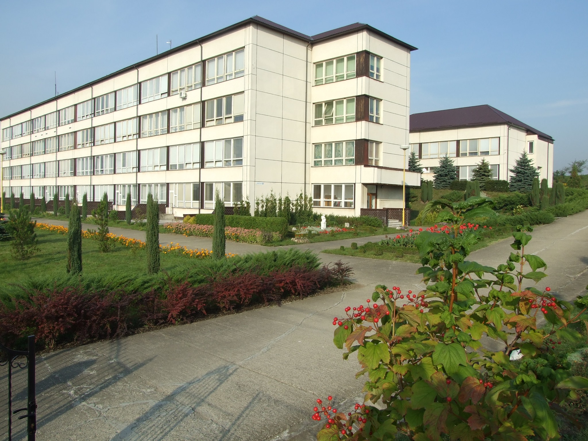 Ліцей імені Миколи Сабата/Facebook