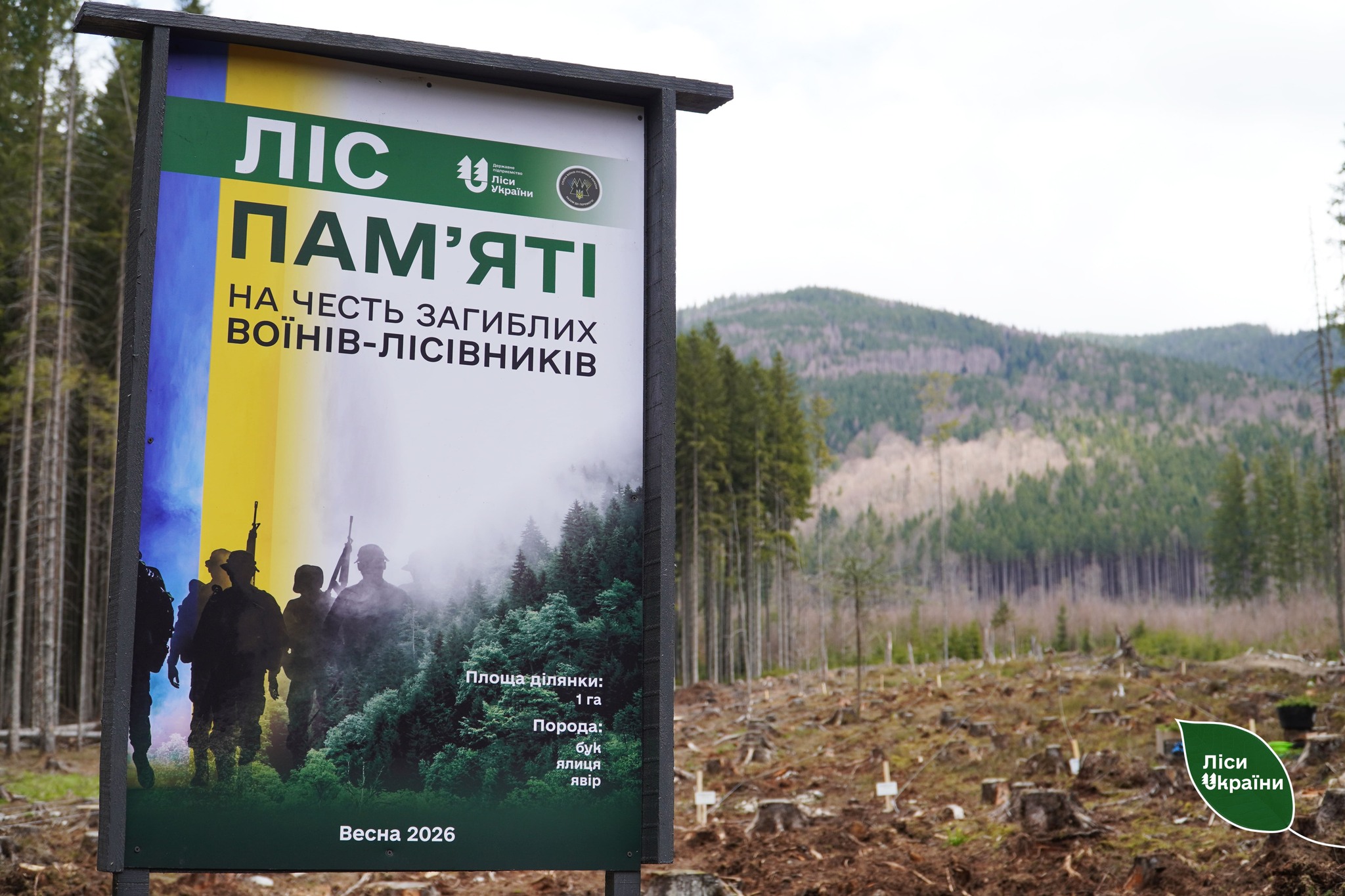 фото: Ліс пам'яті