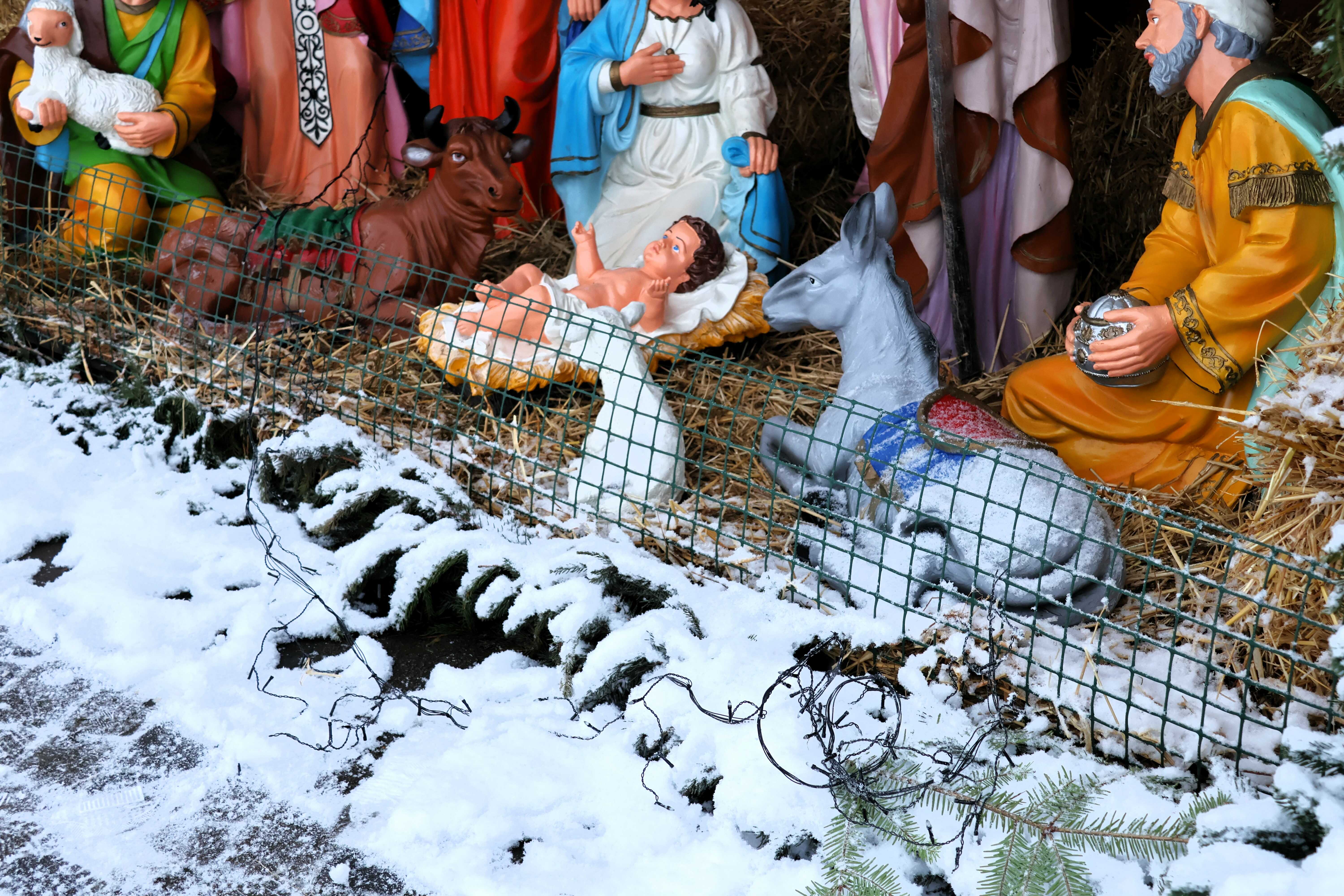 фото: шопка