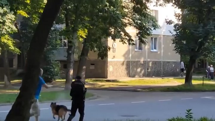 Поліцейський, який стріляє у собаку, Калуш, 17 липня 2026 року. Скрин з відео "Калуський формат"