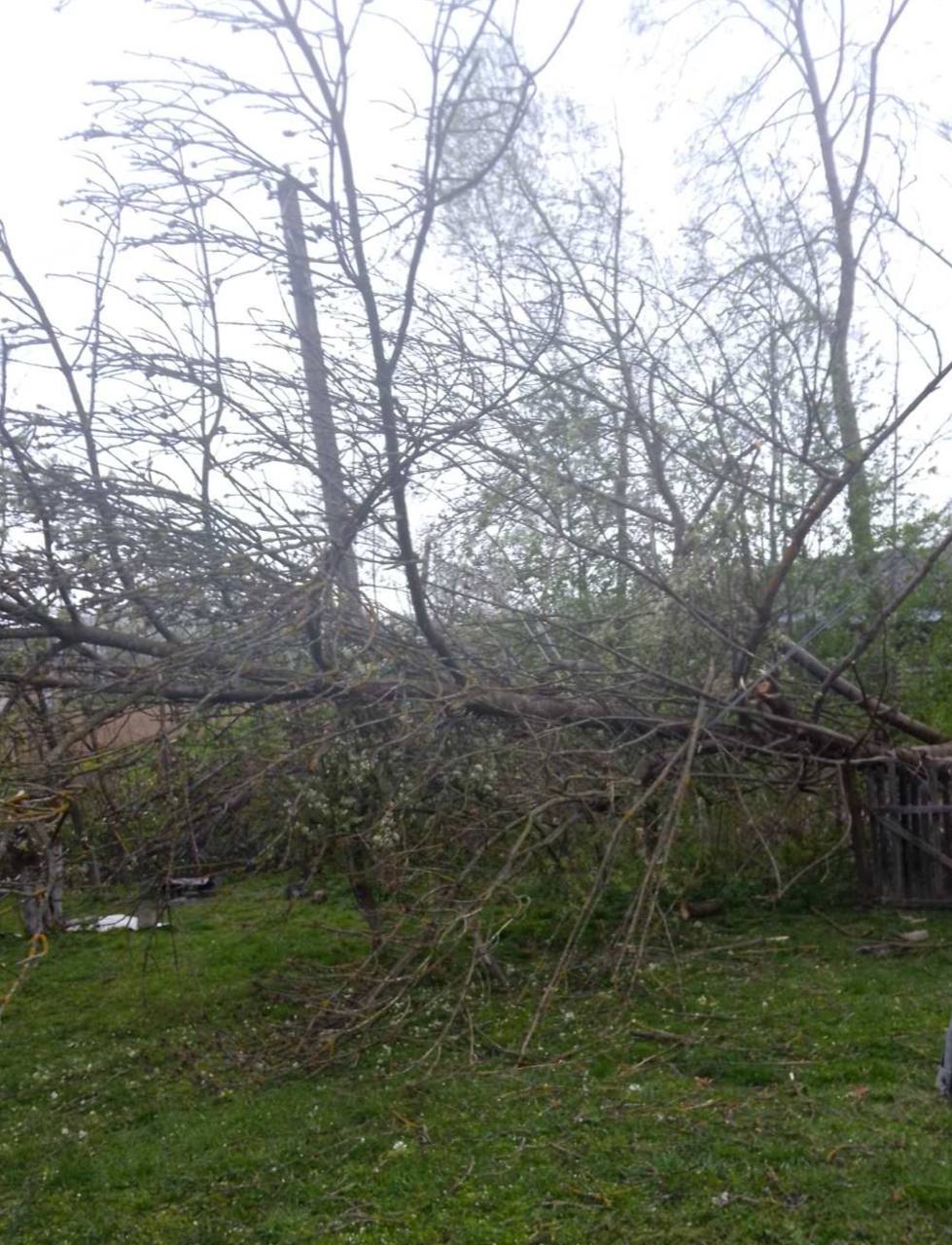 фото з місця події