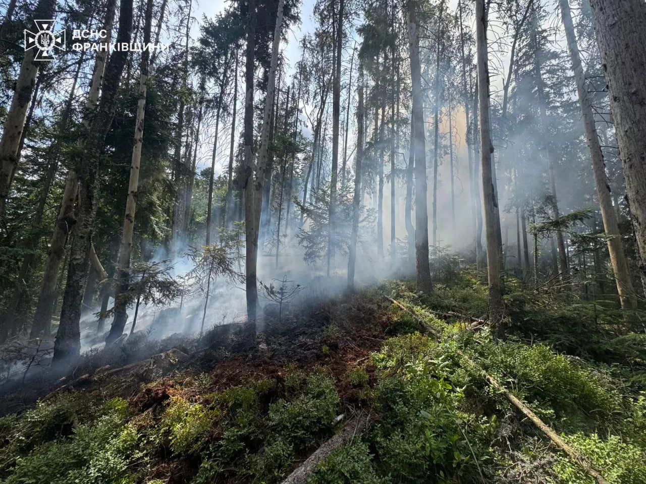 фото однієї з пожеж
