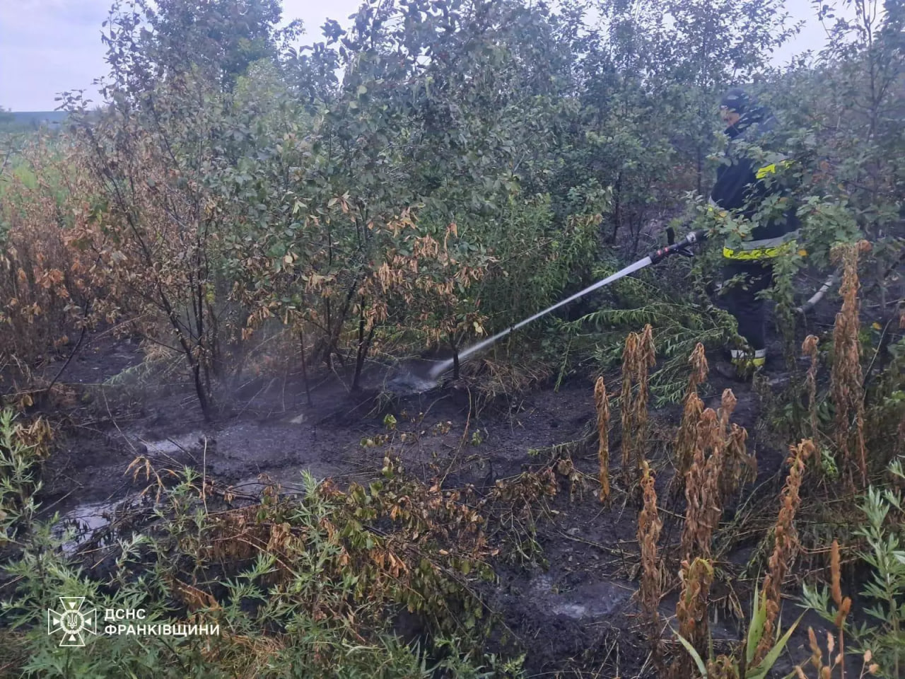 фото однієї з пожеж