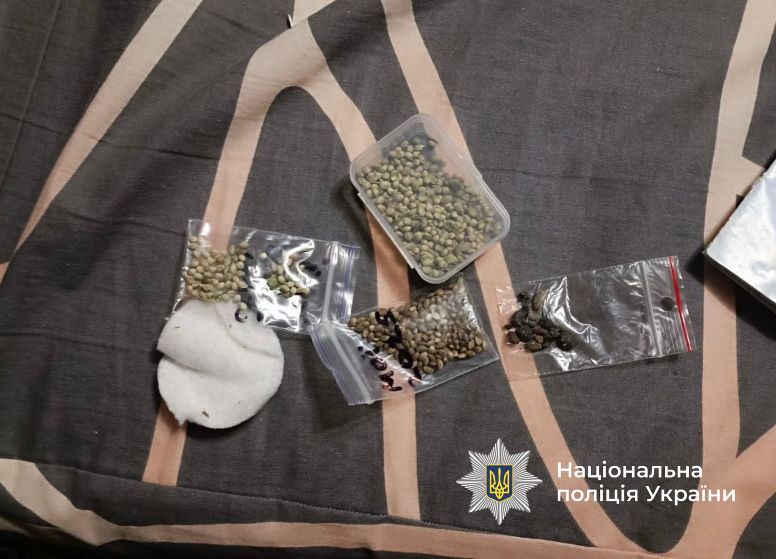 вилучені наркотики